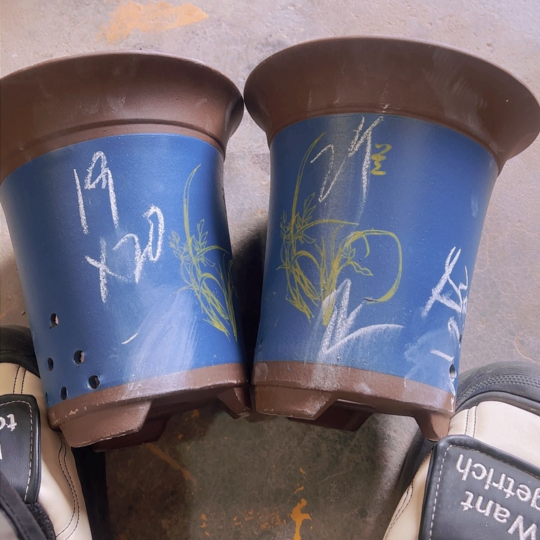 紫砂43………………………………