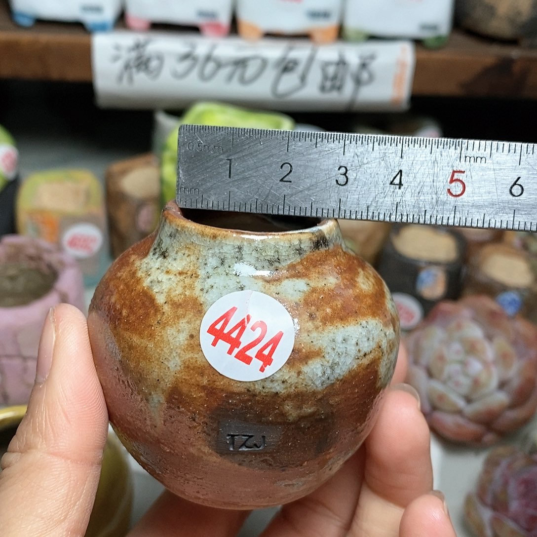 红陶拍5送一个小