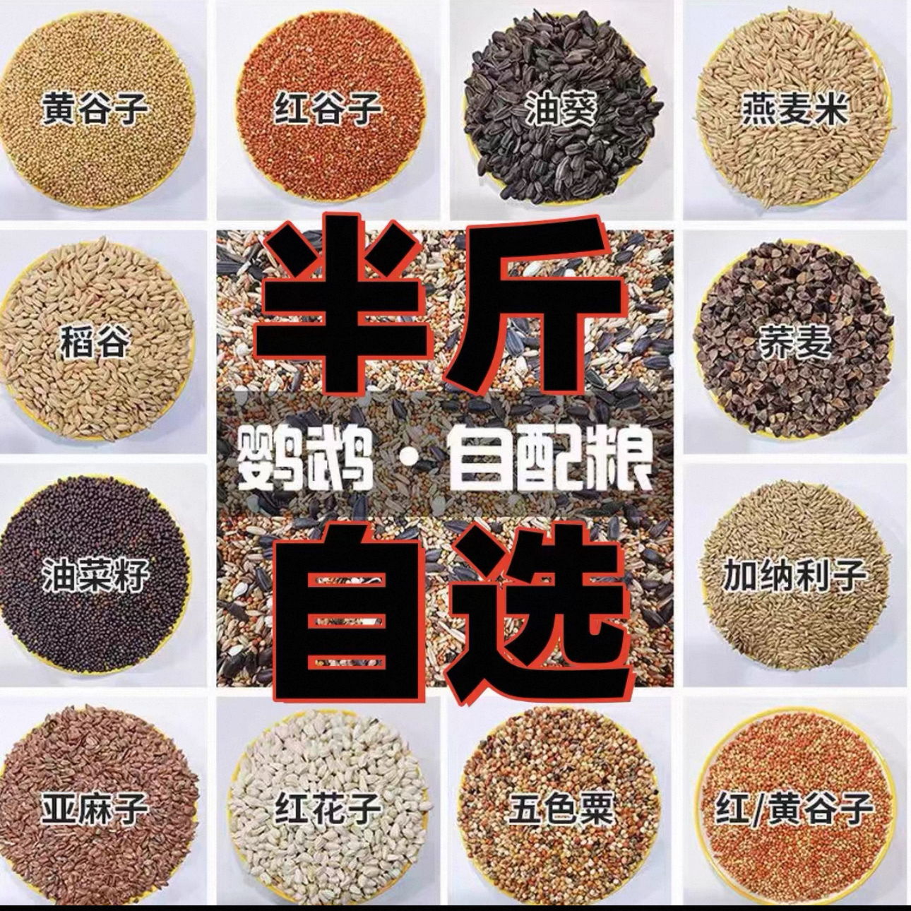 鹦鹉diy种子粮食