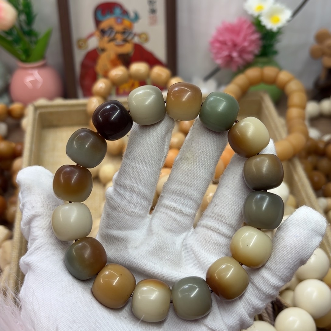 吊坠菩提根/象牙果17干磨瑕疵落地果102