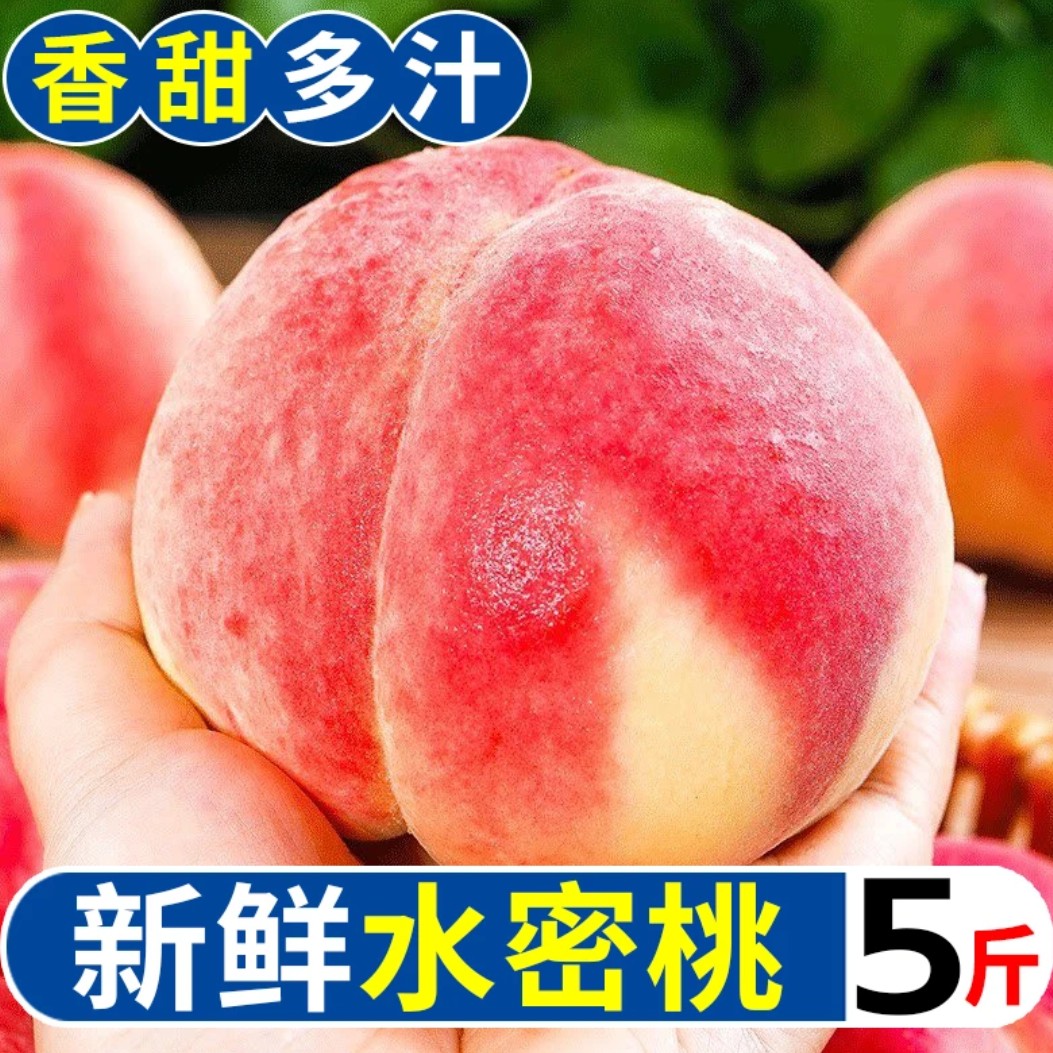 {顺丰包邮现摘现发}采摘水蜜桃买3斤送2斤果香浓郁软脆多吃现摘现发小孩孕妇老人安徽省