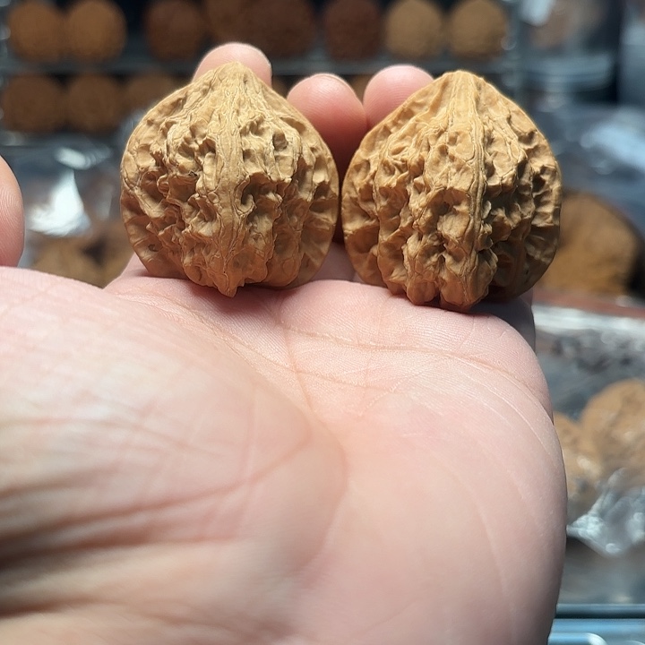 文玩核桃火焰马蹄41-451