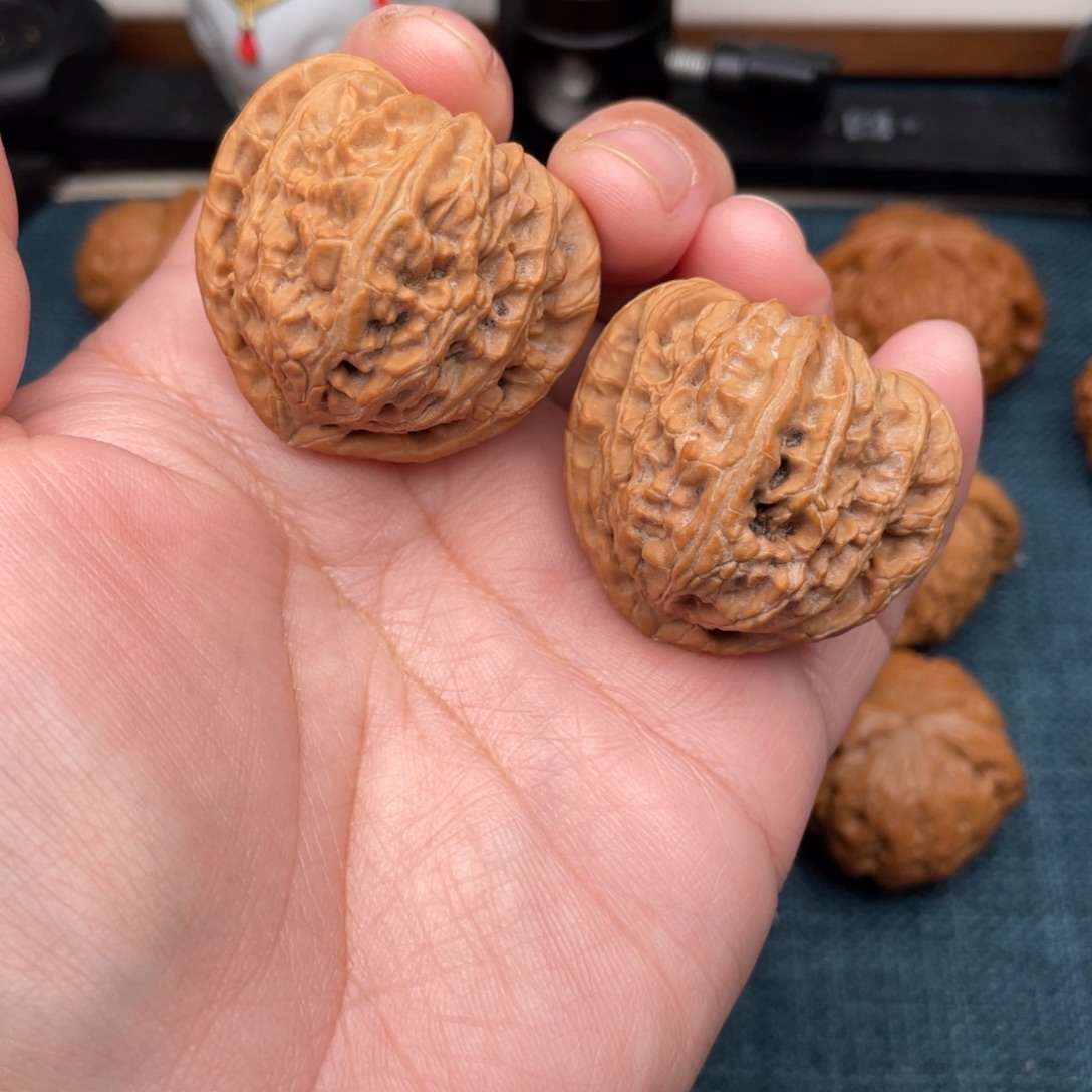 把件文玩核桃全品白茬三角白37