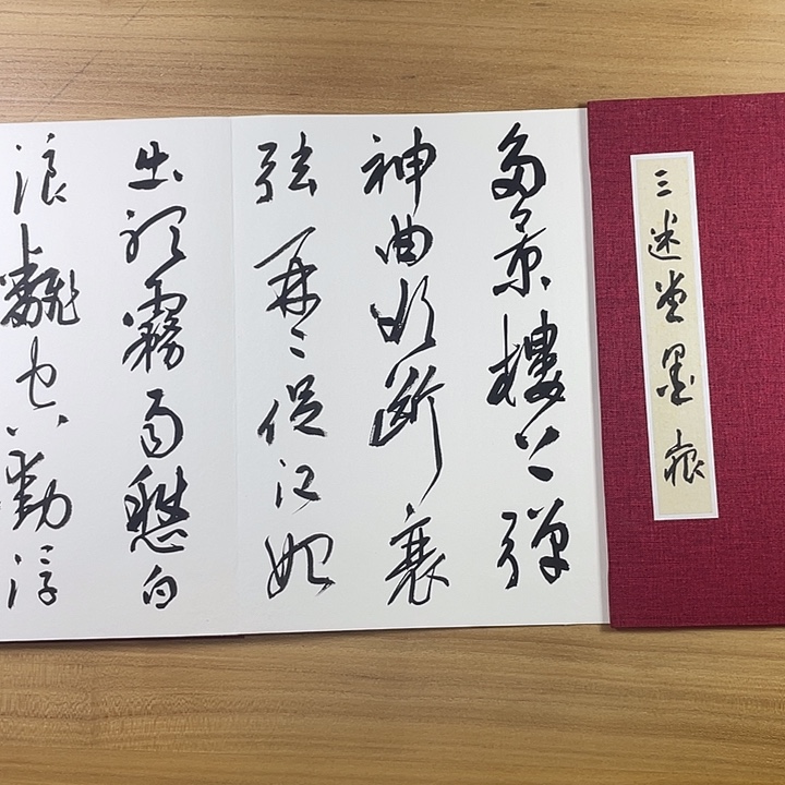 书法中书协老师作品