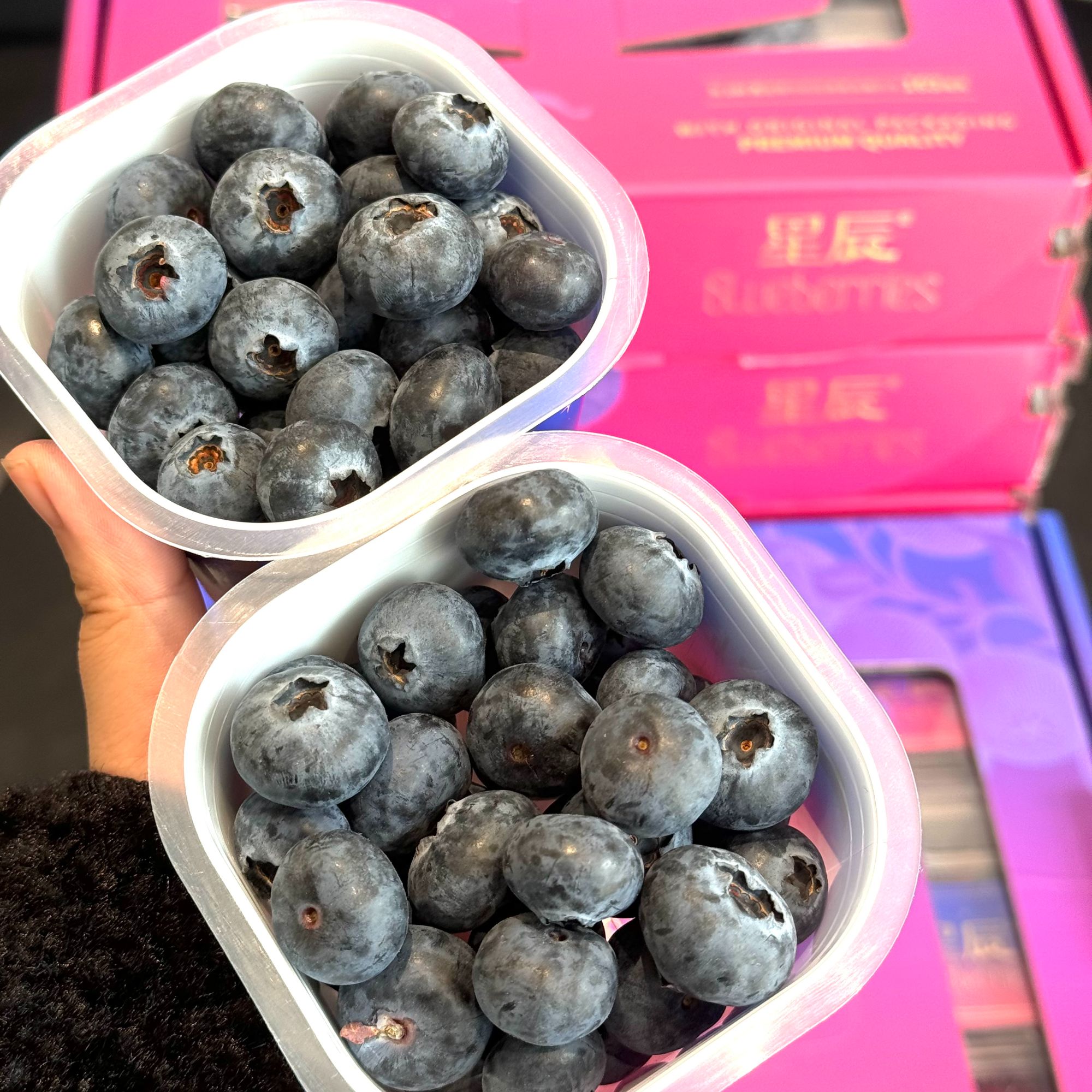 李先生源选 云南当季精选星辰蓝莓杯（ 分装/礼盒装）脆甜香 同城小时达！！坏果包赔云南省