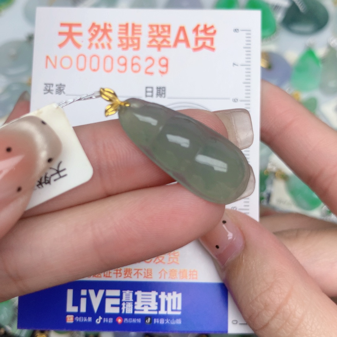 翡翠18K金镶嵌颈饰豆子
