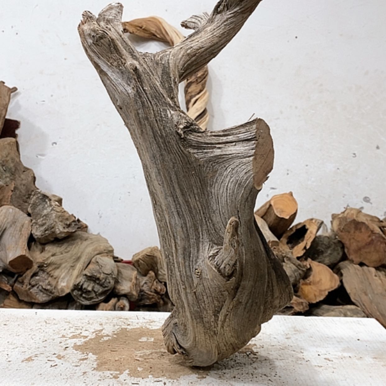 【闪购商品】柏木木****馆我们都是好孩子