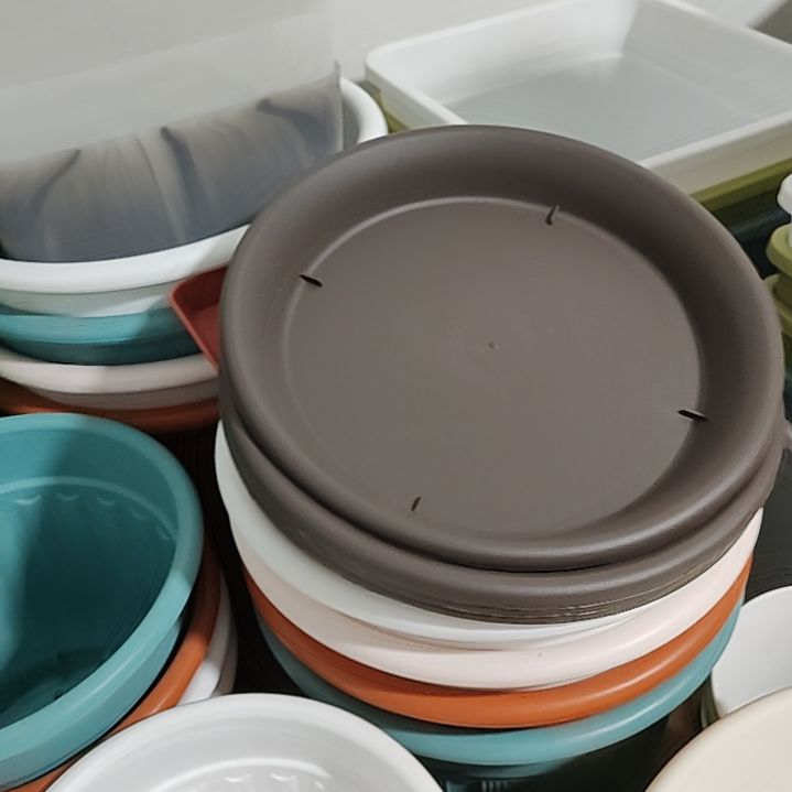 咖色球根圆托盘 26 口径 10 个