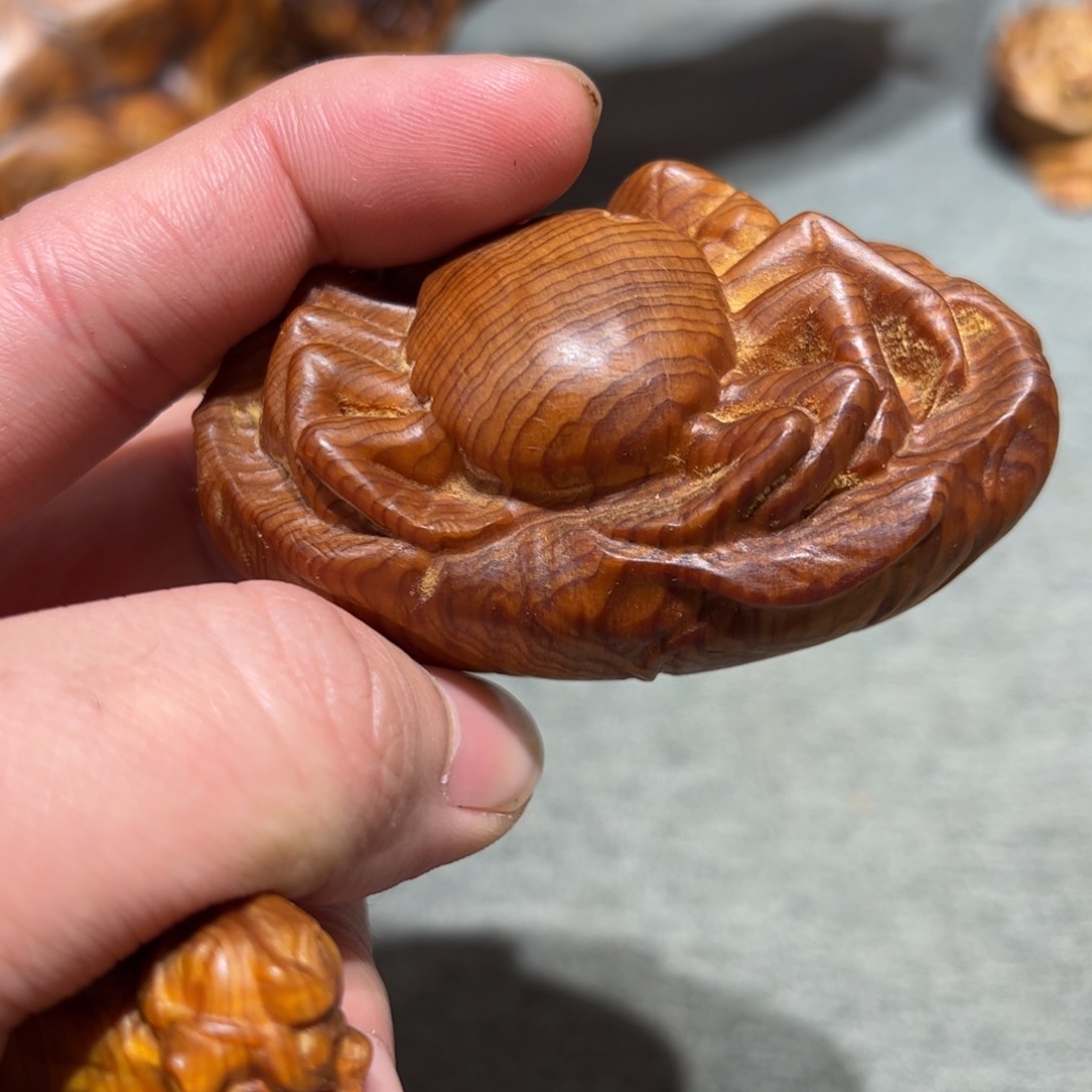 太行崖柏陈化太行