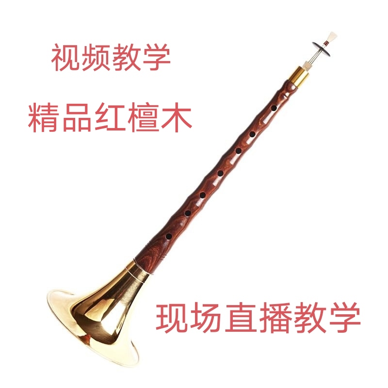 降B红檀木专业演奏型全套唢呐乐器初学者适用调喇叭