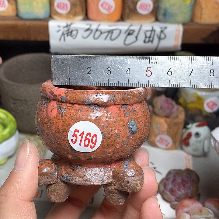 红陶拍5送一个小