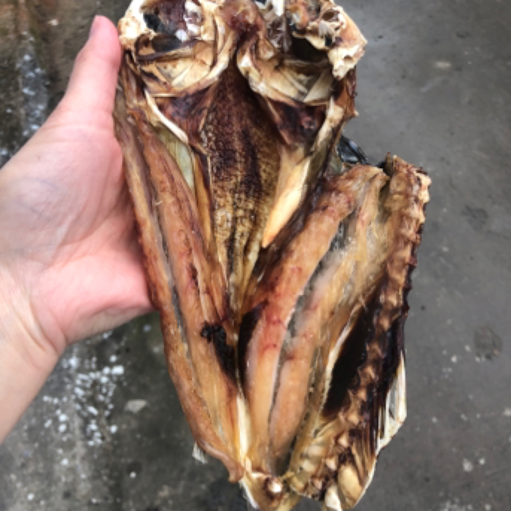 【海边人家】浙江宁波渔家淡晒乌狼鲞.4条左右/斤（顺丰京东包邮