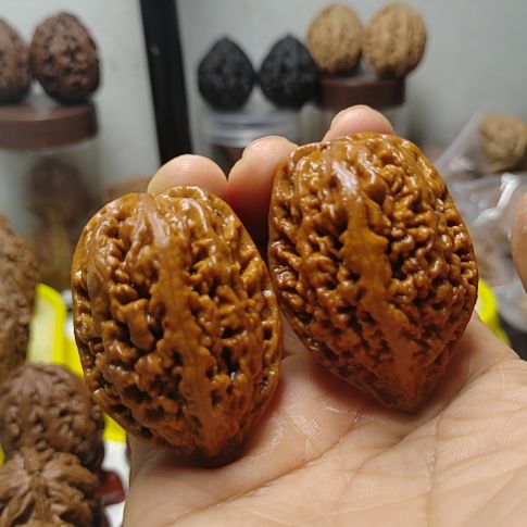 文玩核桃把件口****）蚂蚁窝