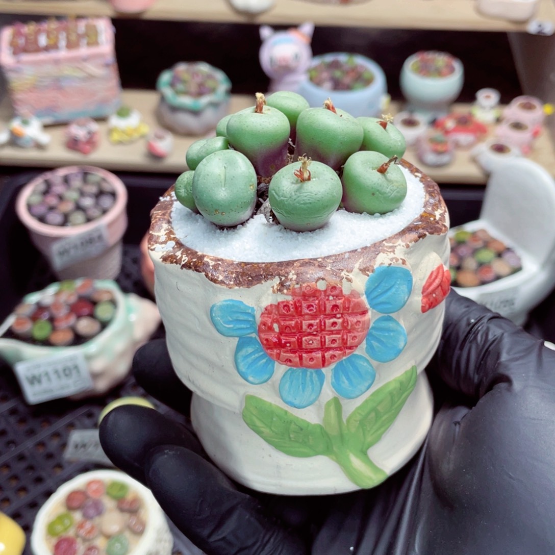 夜间零下地区拍保温箱w1103