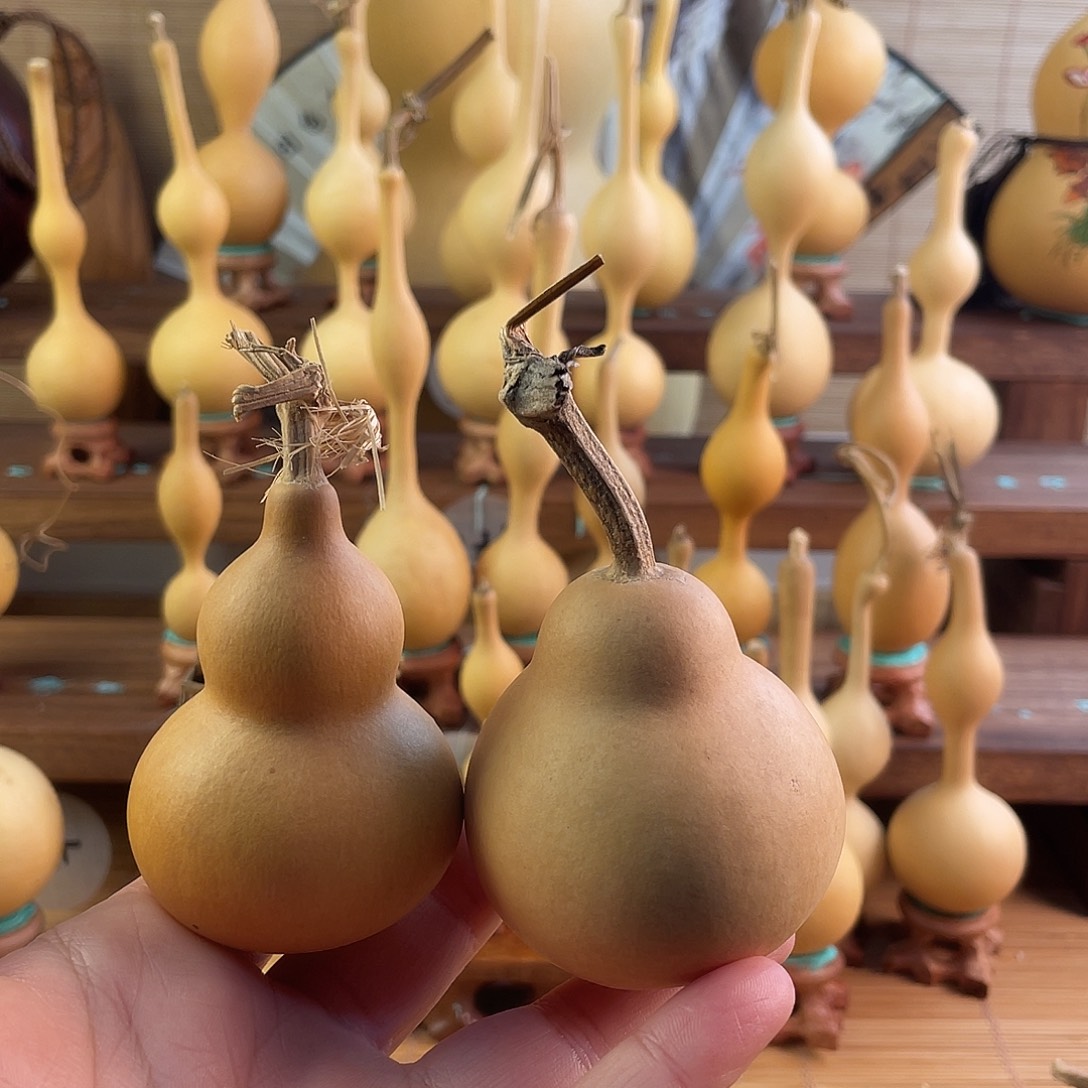 5***奈葫芦已直播间为准