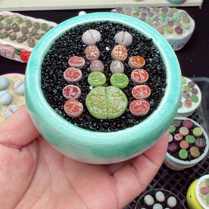 608零下地区记得拍保温箱