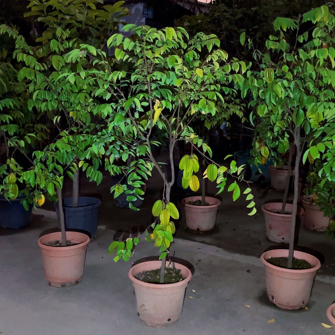 完全开放吻*888888888