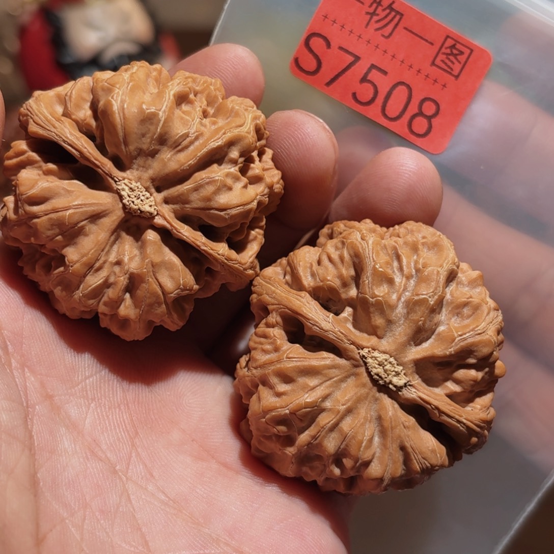 吊坠文玩核桃粗筋