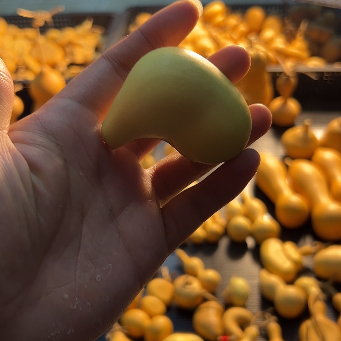 小猪佩奇葫芦葫芦