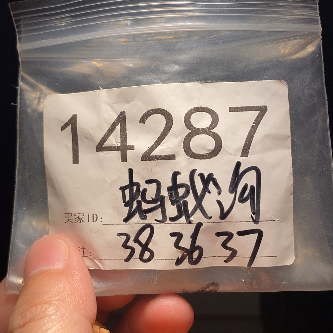 吊坠文玩核桃文玩核桃把件