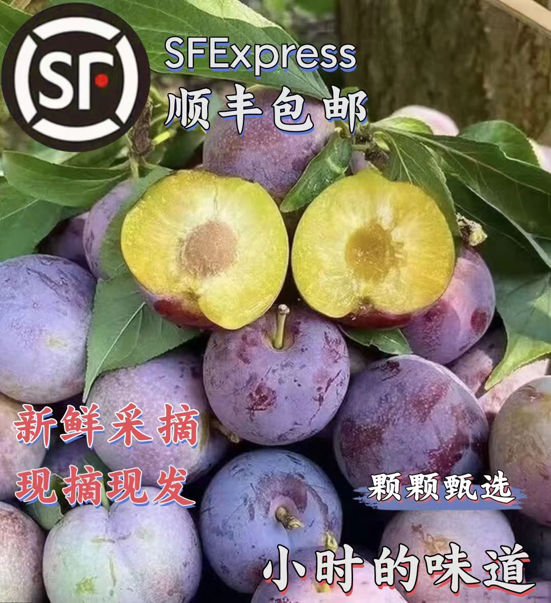 【顺丰包邮】四川高山脱骨李子脆红李新鲜采摘3斤5斤包邮脆李现摘现