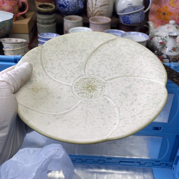 碟开播了开播了开播了