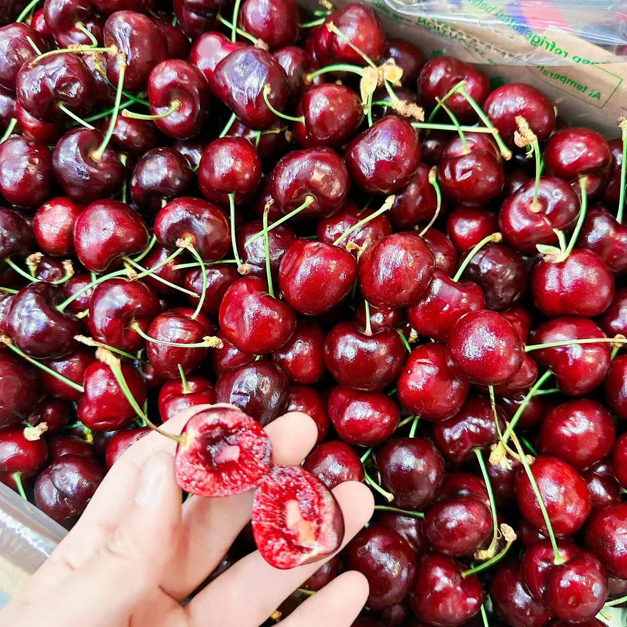 3JD车厘子 散称发3斤 空运内附果径卡