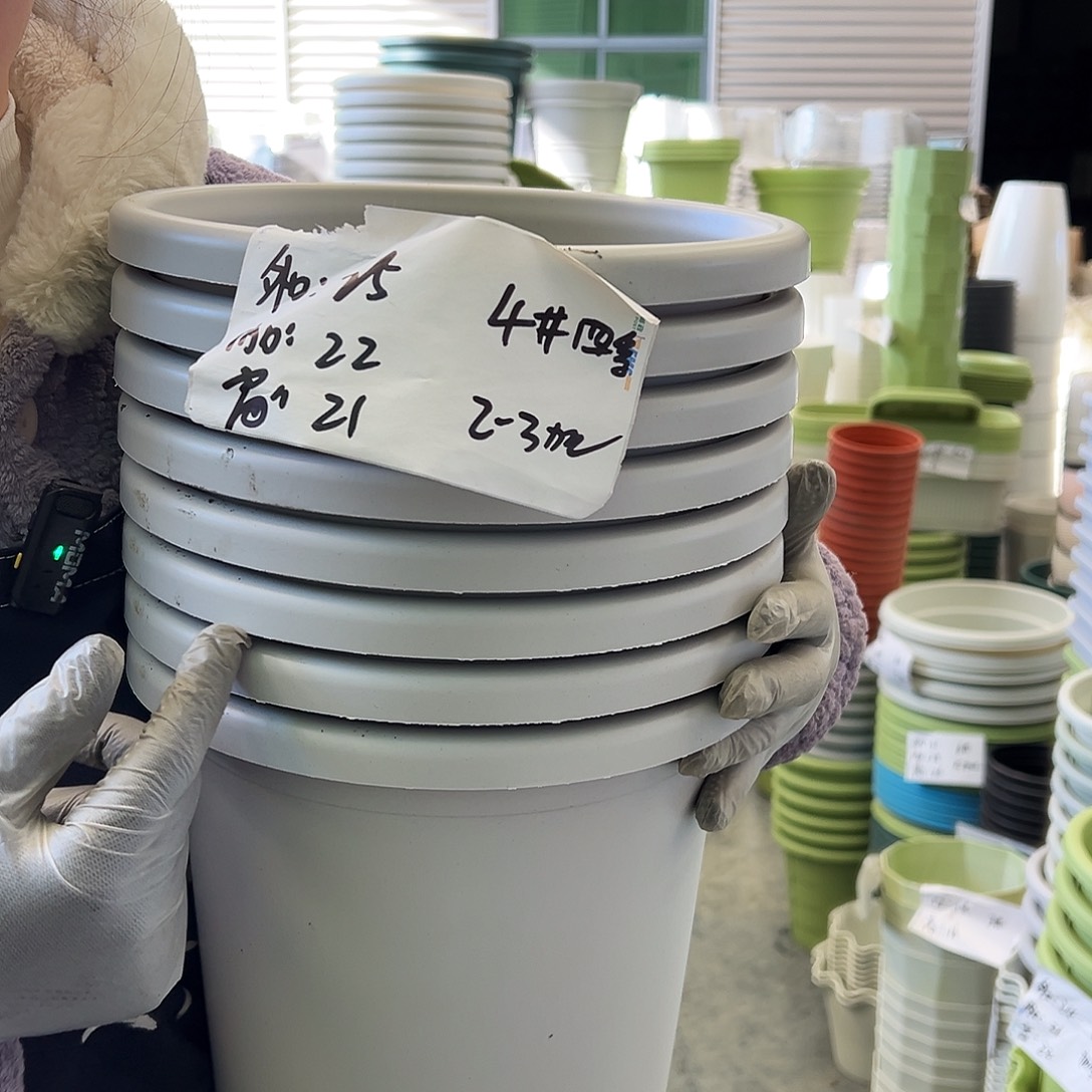 瑕疵四季盆4#灰白8个无托