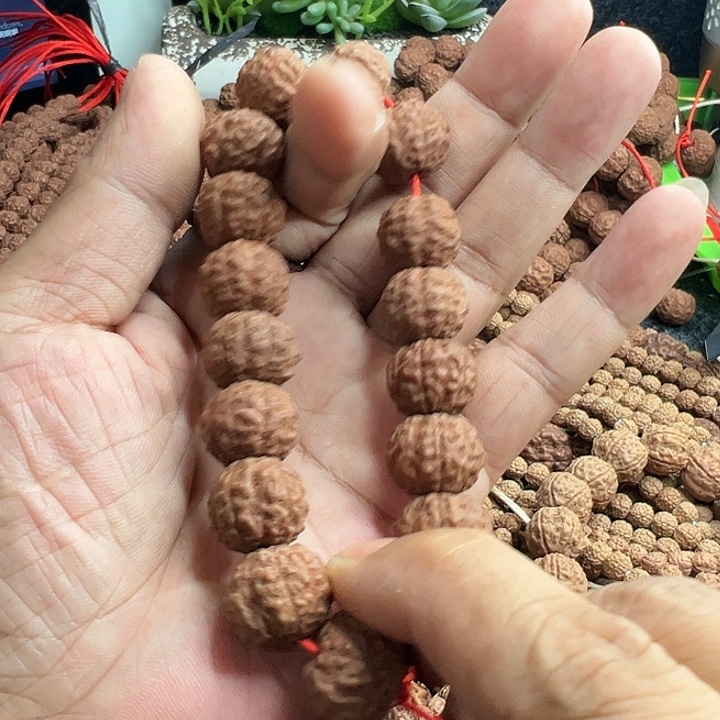 手串金刚菩提红皮跳跳龙手持单圈