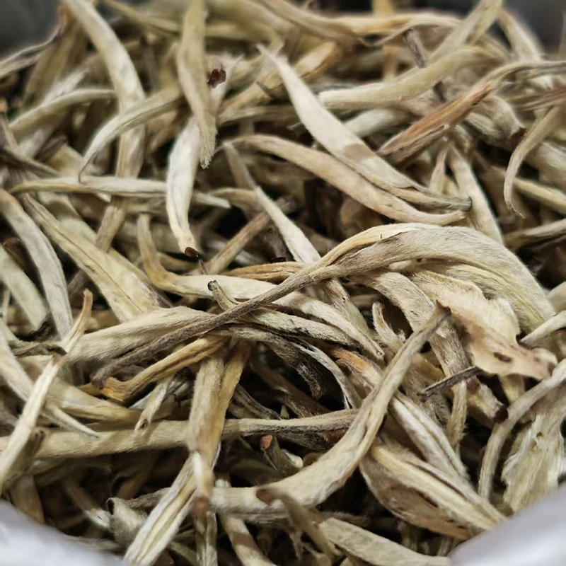 云南白茶秧塔白毫银针景谷大白芽头单芽月关白茶春茶嫩芽核心产区