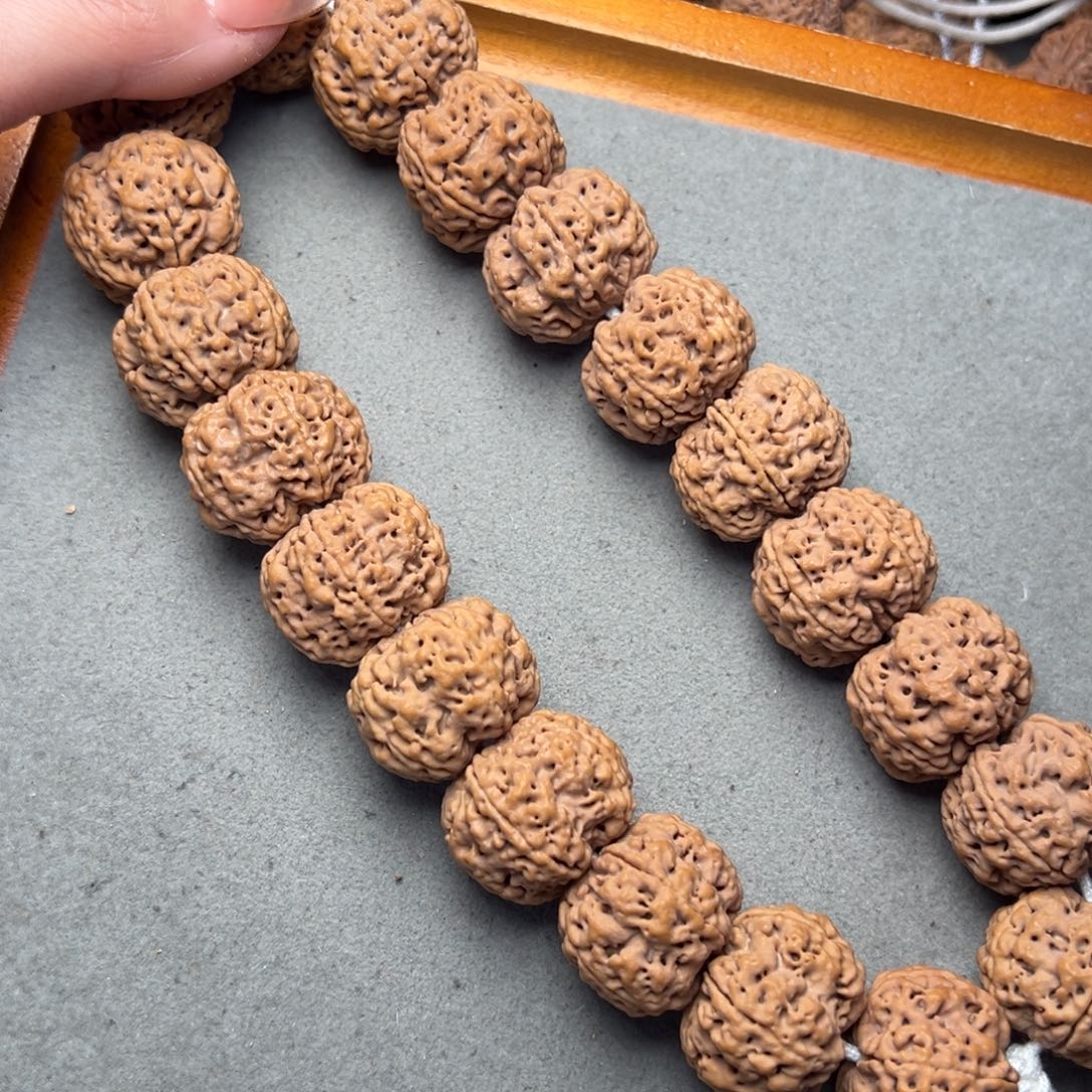 菩提21号金刚菩提豆腐块梅花手持26