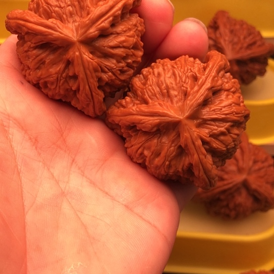华***京核桃核桃核桃核桃核桃