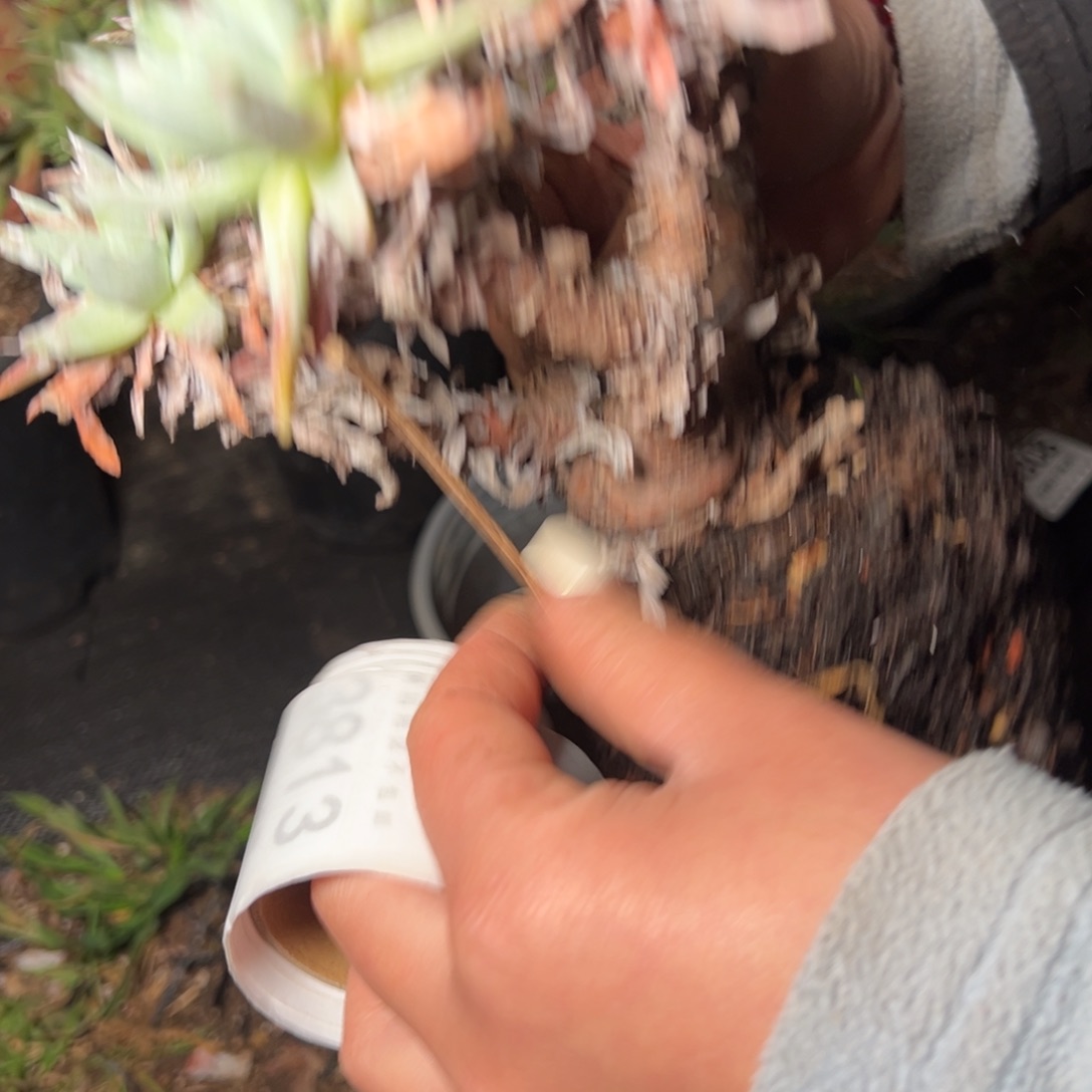 3809哈哈哈哈哈哈哈