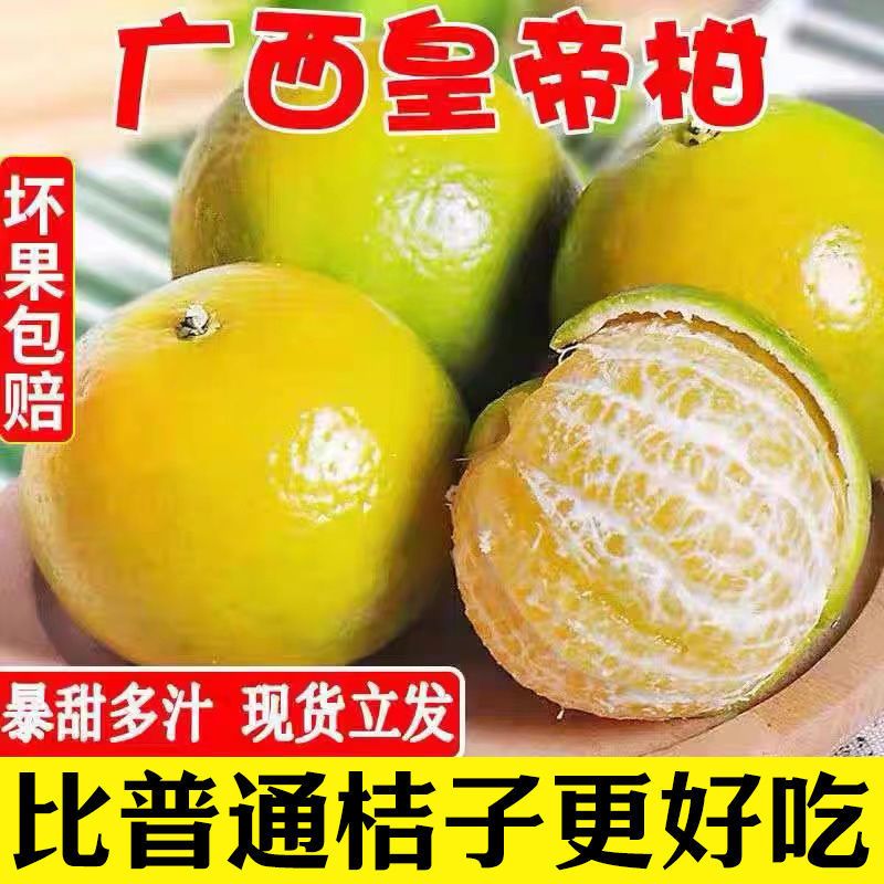 【果王广西武鸣皇帝柑】贡柑新鲜水果当季现摘清甜多汁【坏果包赔】
