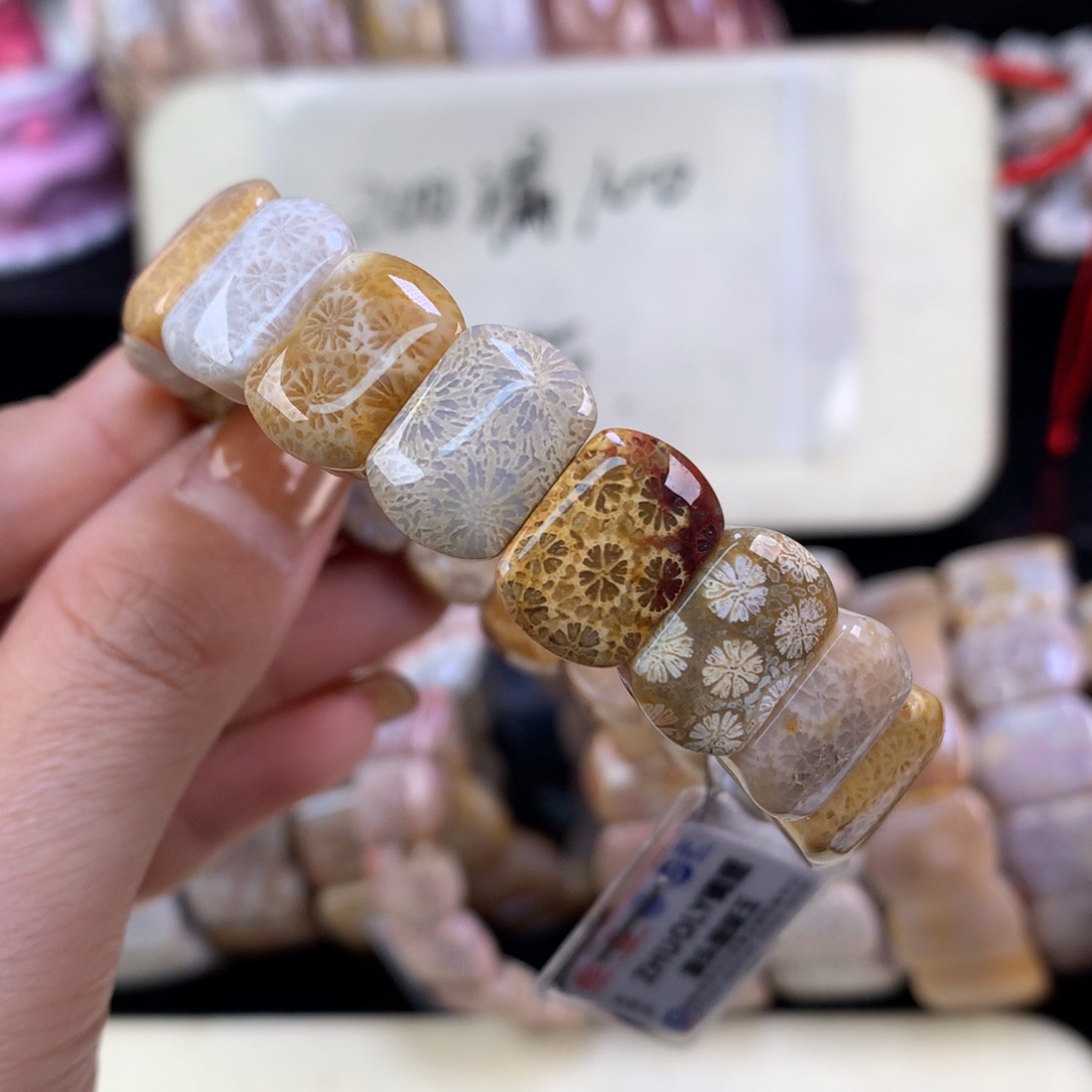 硅化珊瑚（珊瑚玉）未镶嵌吊坠(赠链)漏五折精美手牌（12号）