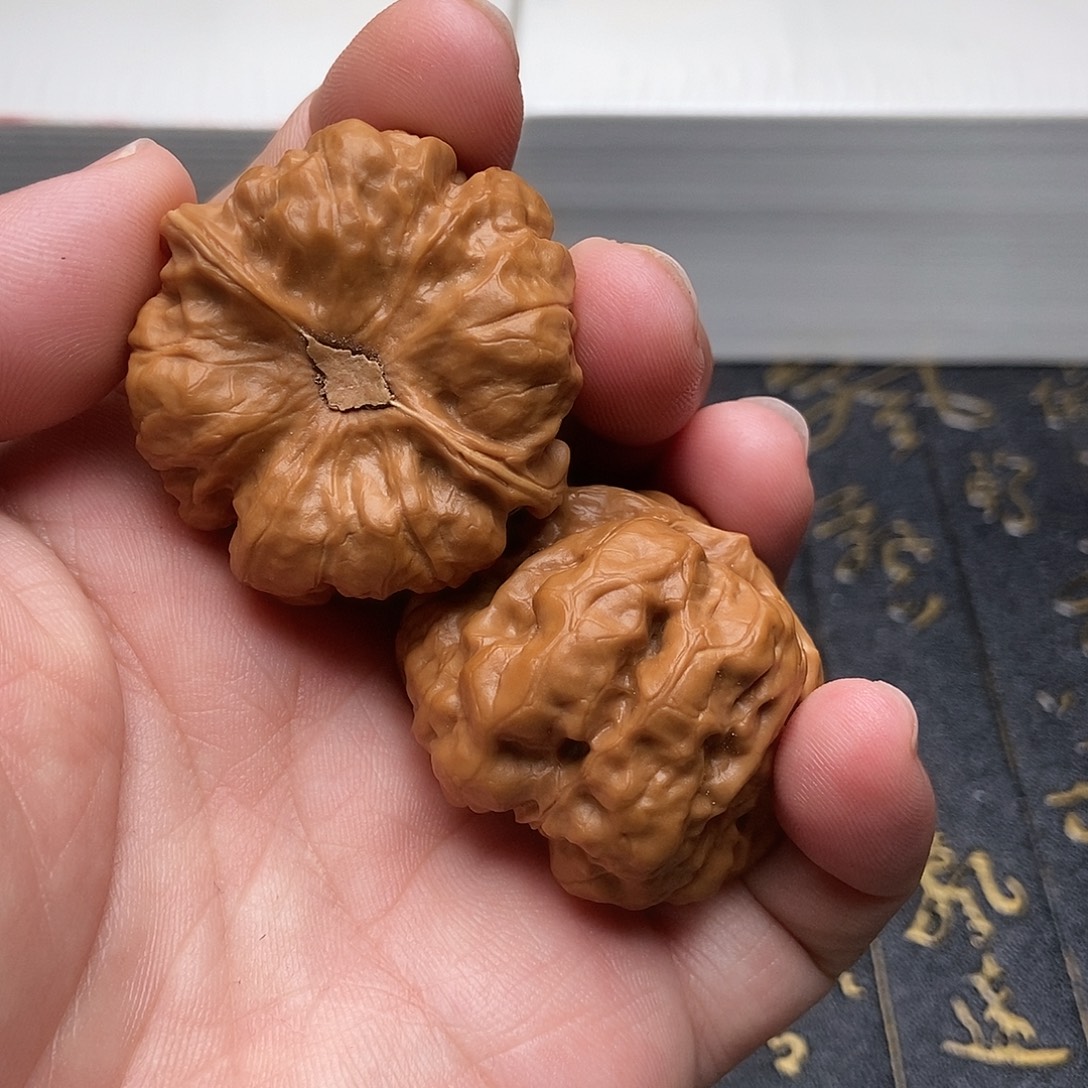 40尺微修精品蛤蟆