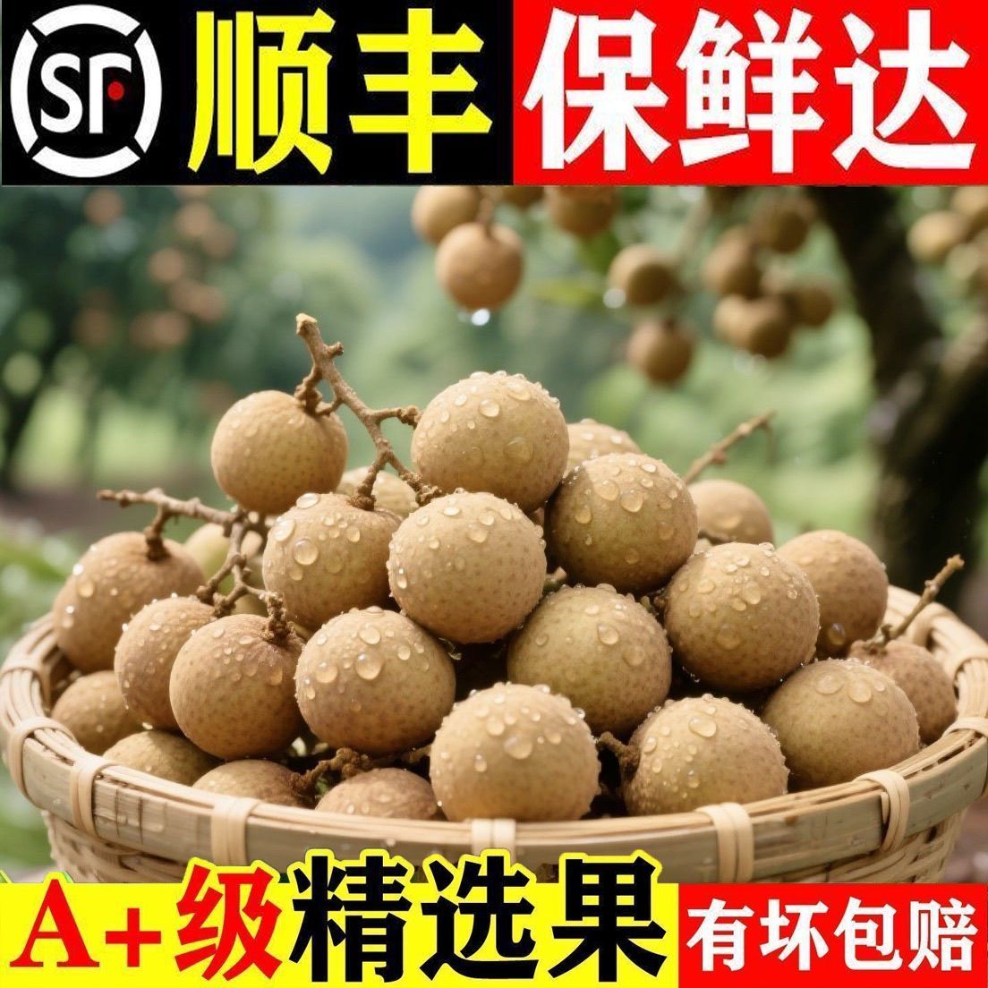 【顺丰包邮】正宗广西石硖龙眼新鲜清甜多汁肉厚饱满当季水果