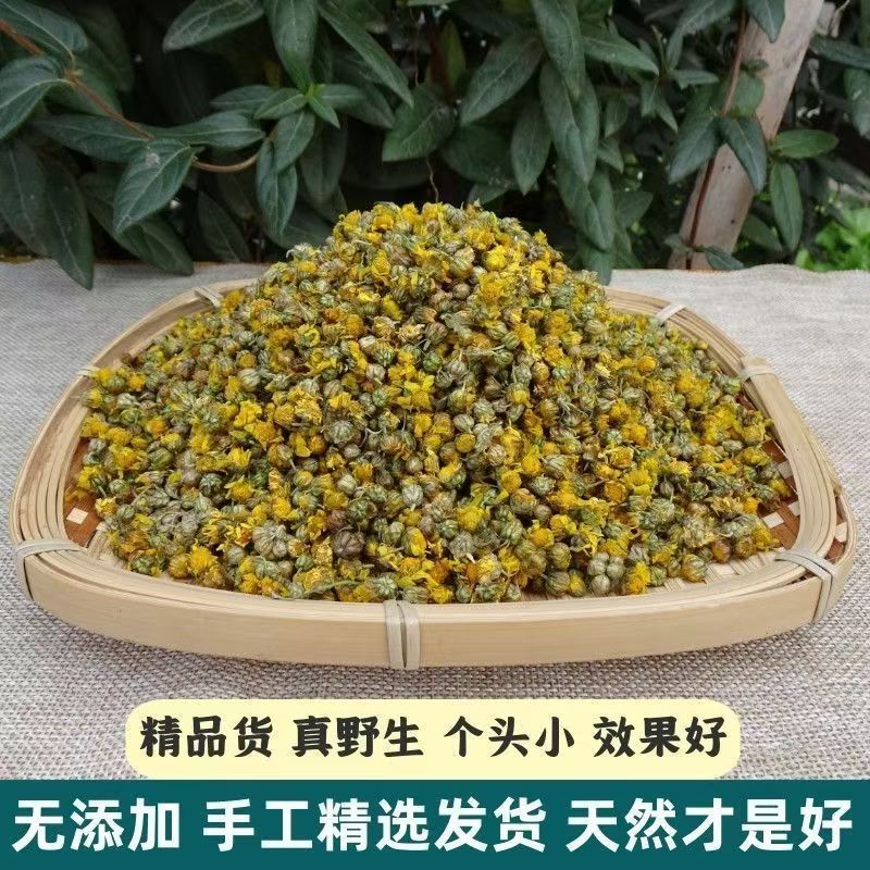 大别山野菊花小菊花