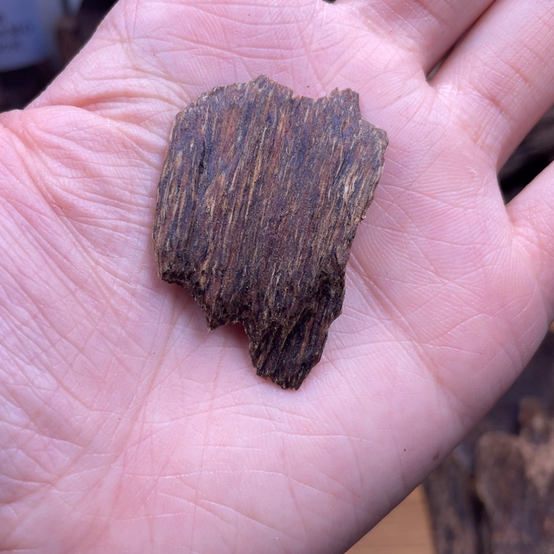 香榧木海南黎母山棋楠泡0.7克