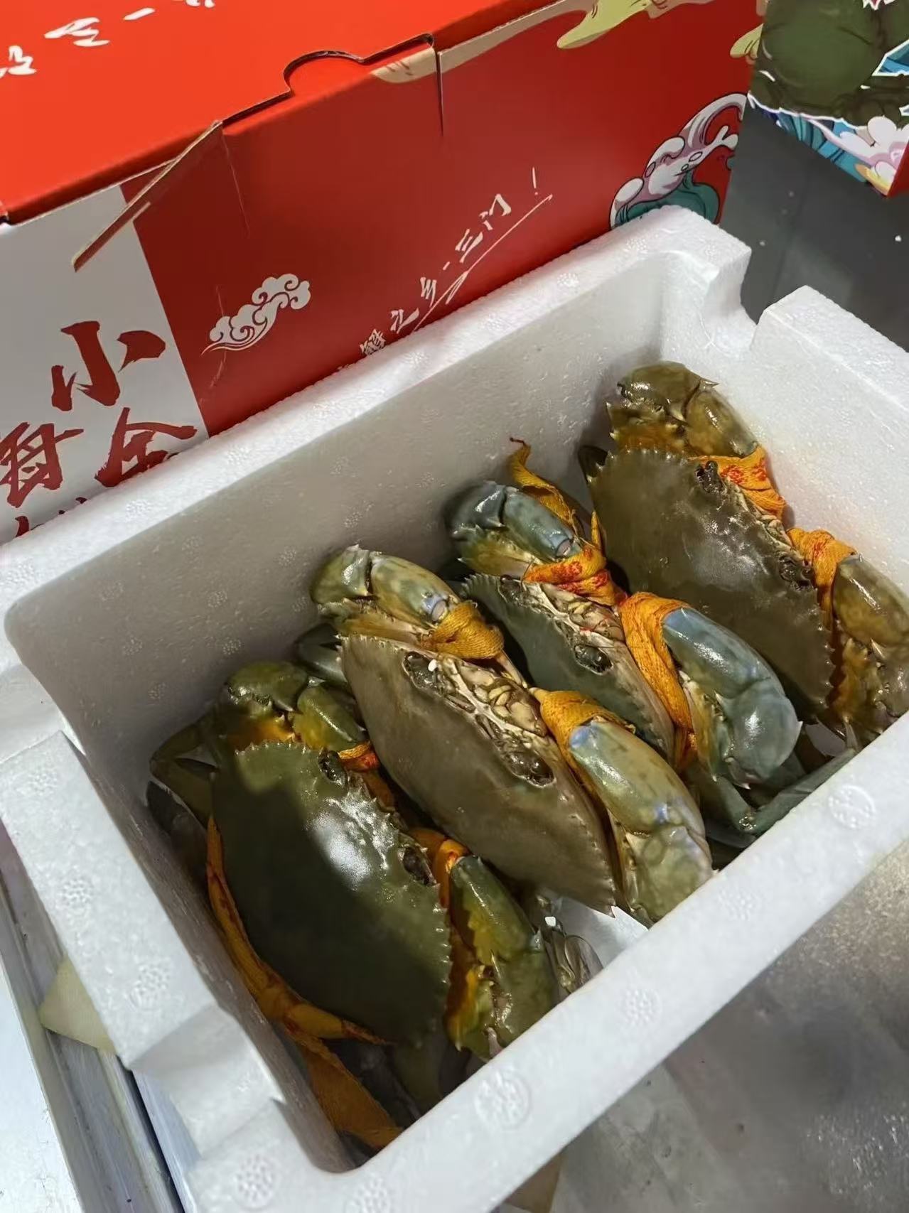 「顺丰包邮」正宗三门青蟹现货发货包活包肥大公蟹中秋送礼海鲜水产
