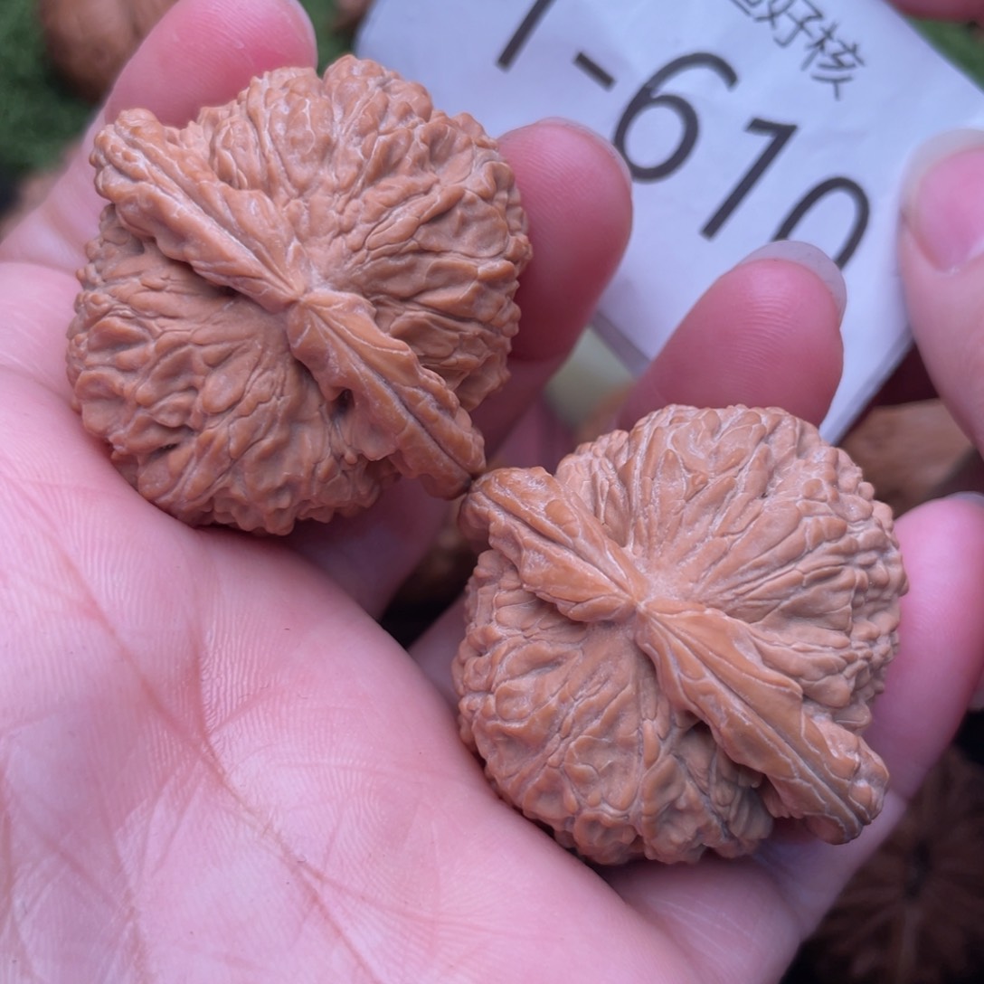 文玩核桃把件白狮子39