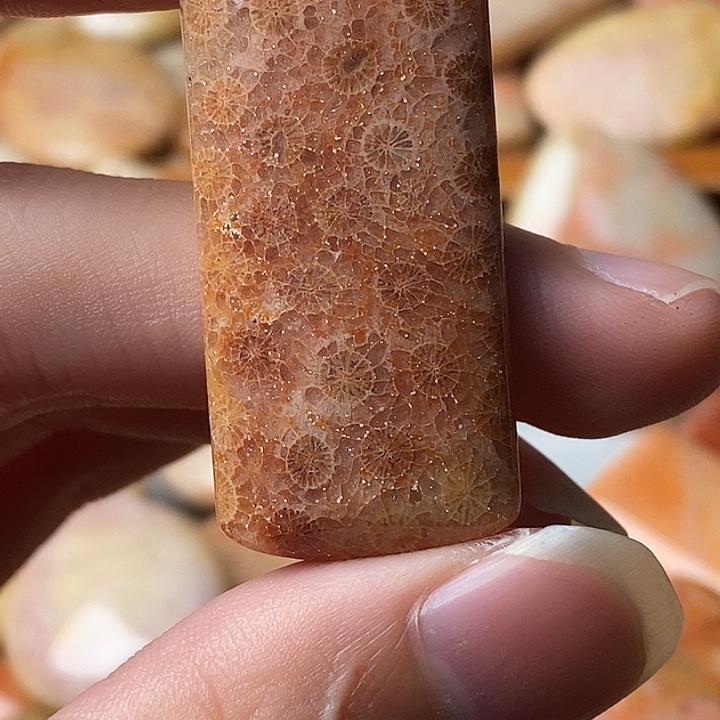 漂***硅化珊瑚未镶嵌颈饰