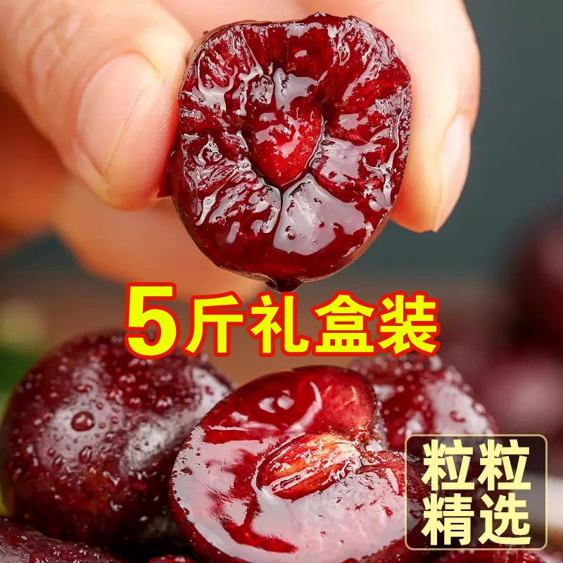 3JD【今天拍明天到】吉制智利进口海运车厘子新鲜头茬内附果径卡5斤装 LL1桑提娜车厘子智利共和国