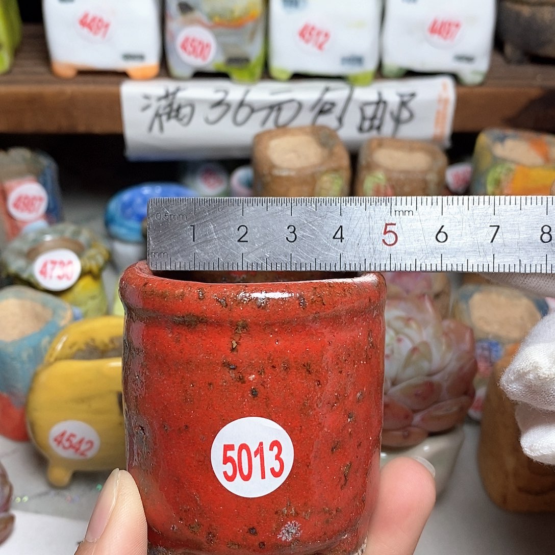 红陶拍5送一个小