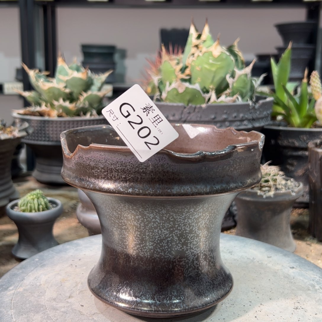 景德镇手工素里内口14.7高13