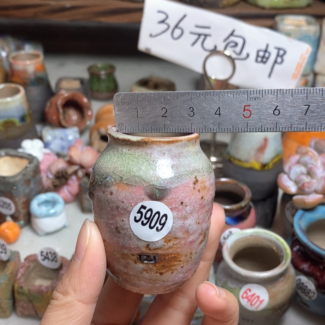 拍5送一个小礼物