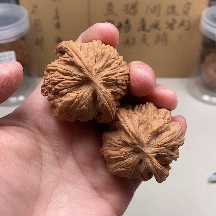 张***林木质类504.504.504