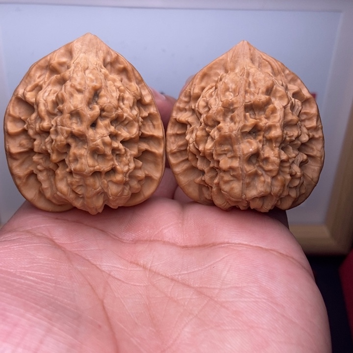 核桃全品小尺官帽