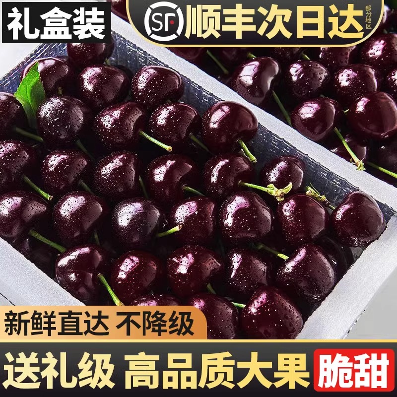 5斤原箱【顺丰京东次日达】智利进口拉宾斯新鲜车厘子J-4J 新鲜水果 现货直发（净果5斤）