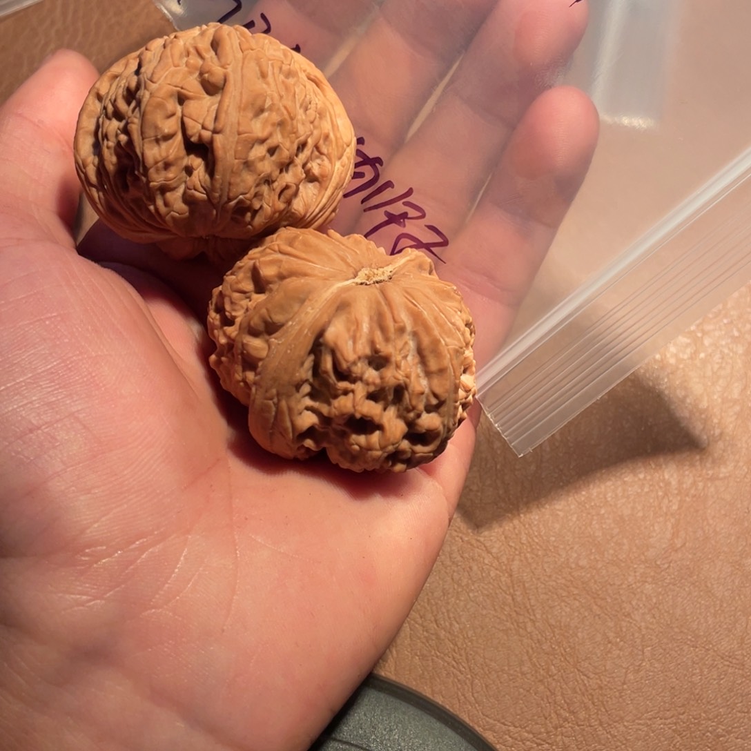 手串/手链核桃059